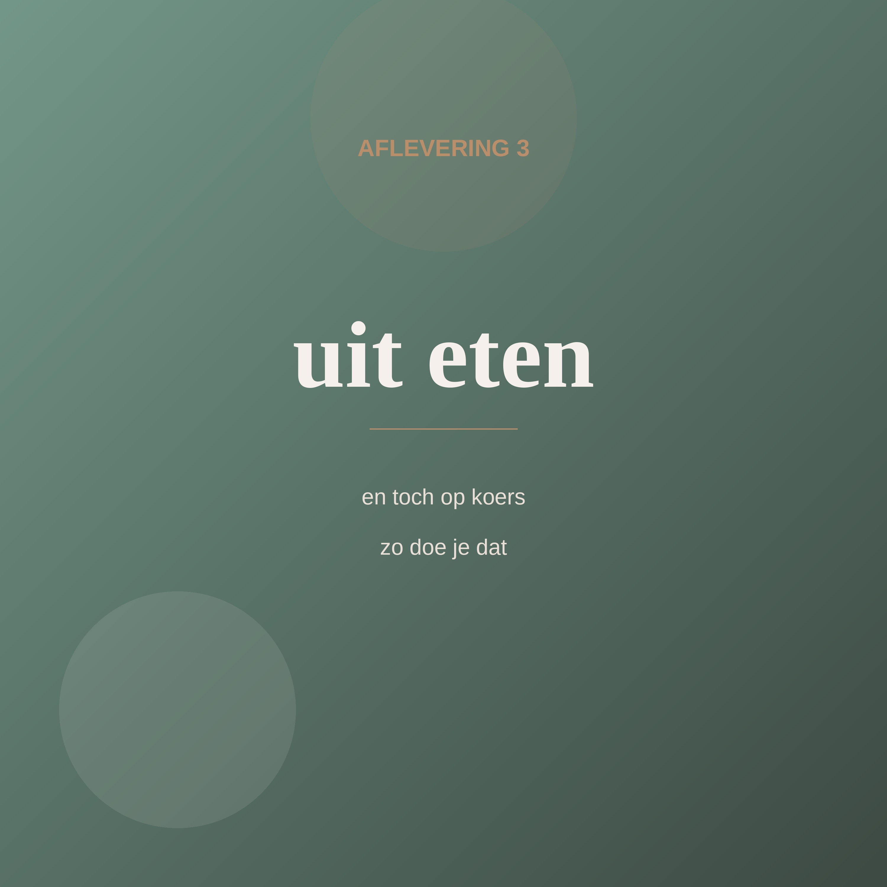 Aflevering 3
