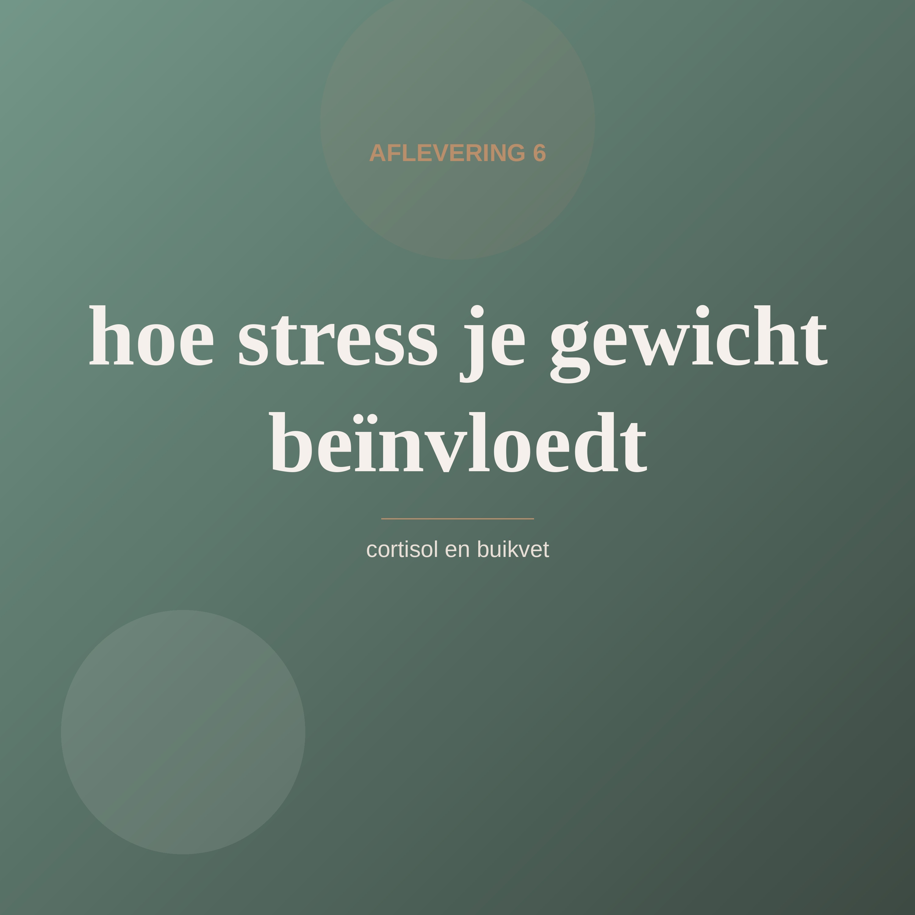 Aflevering 6