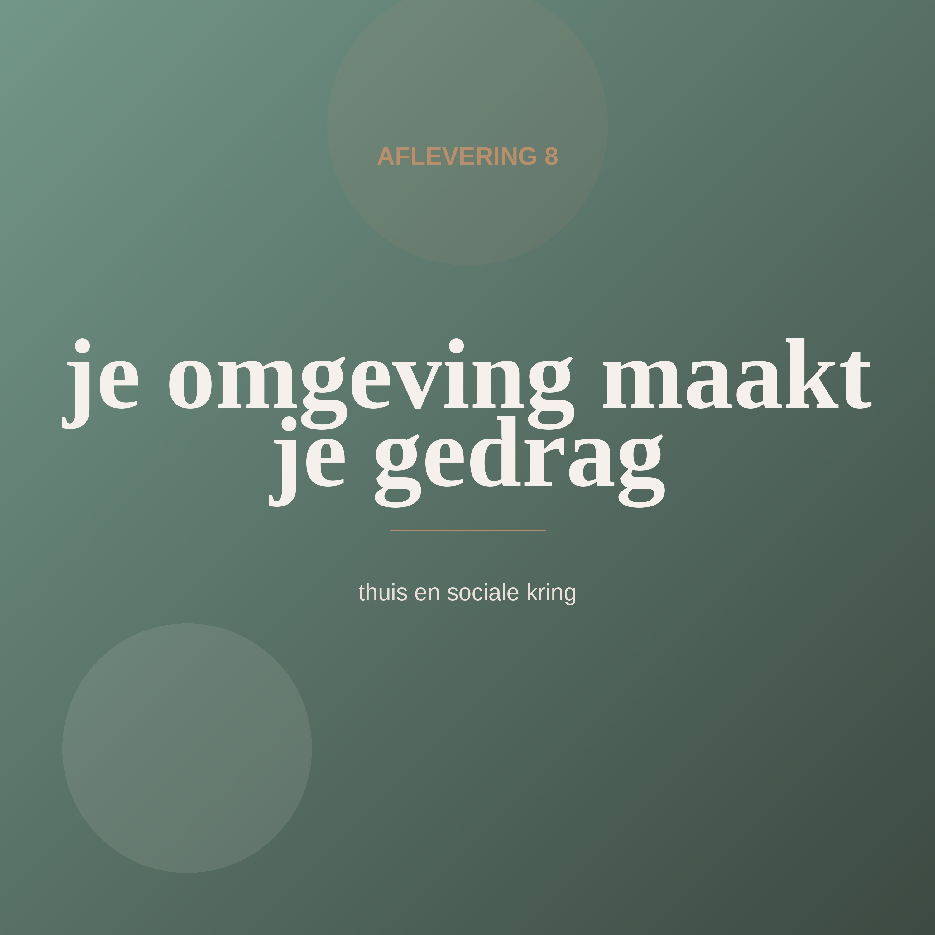 Aflevering 8