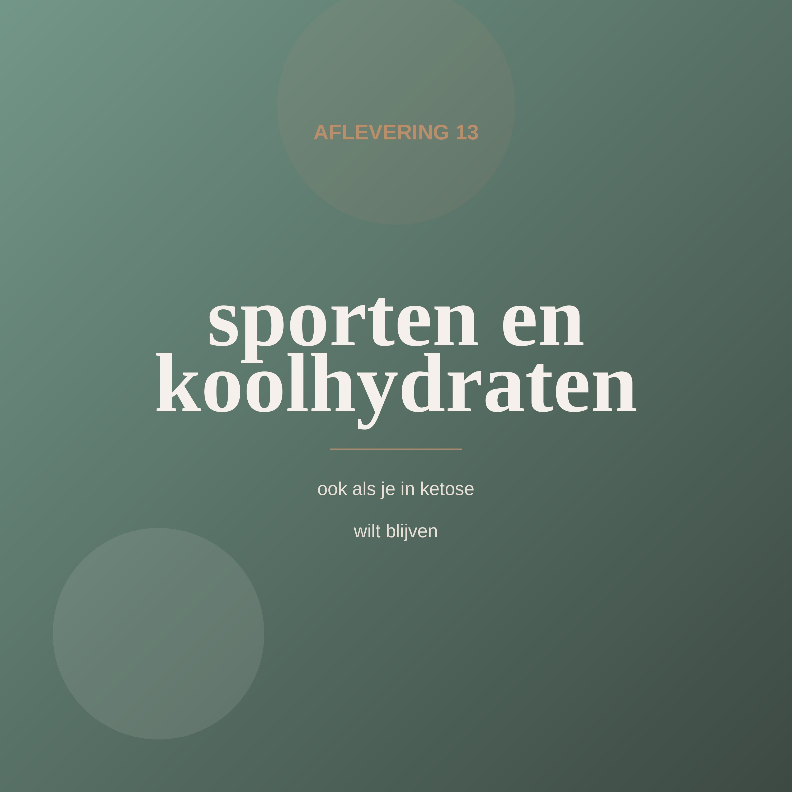Aflevering 13