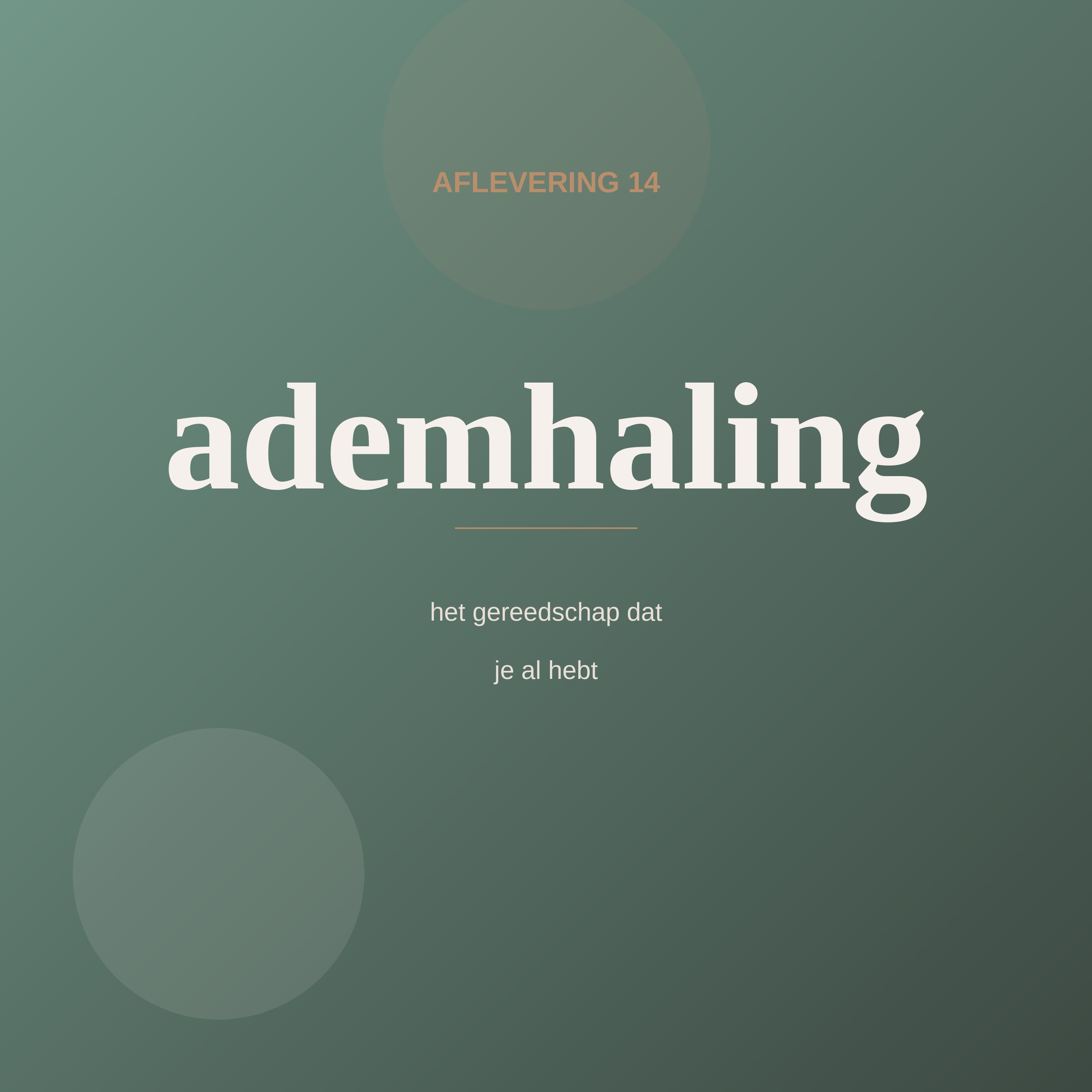 Aflevering 14
