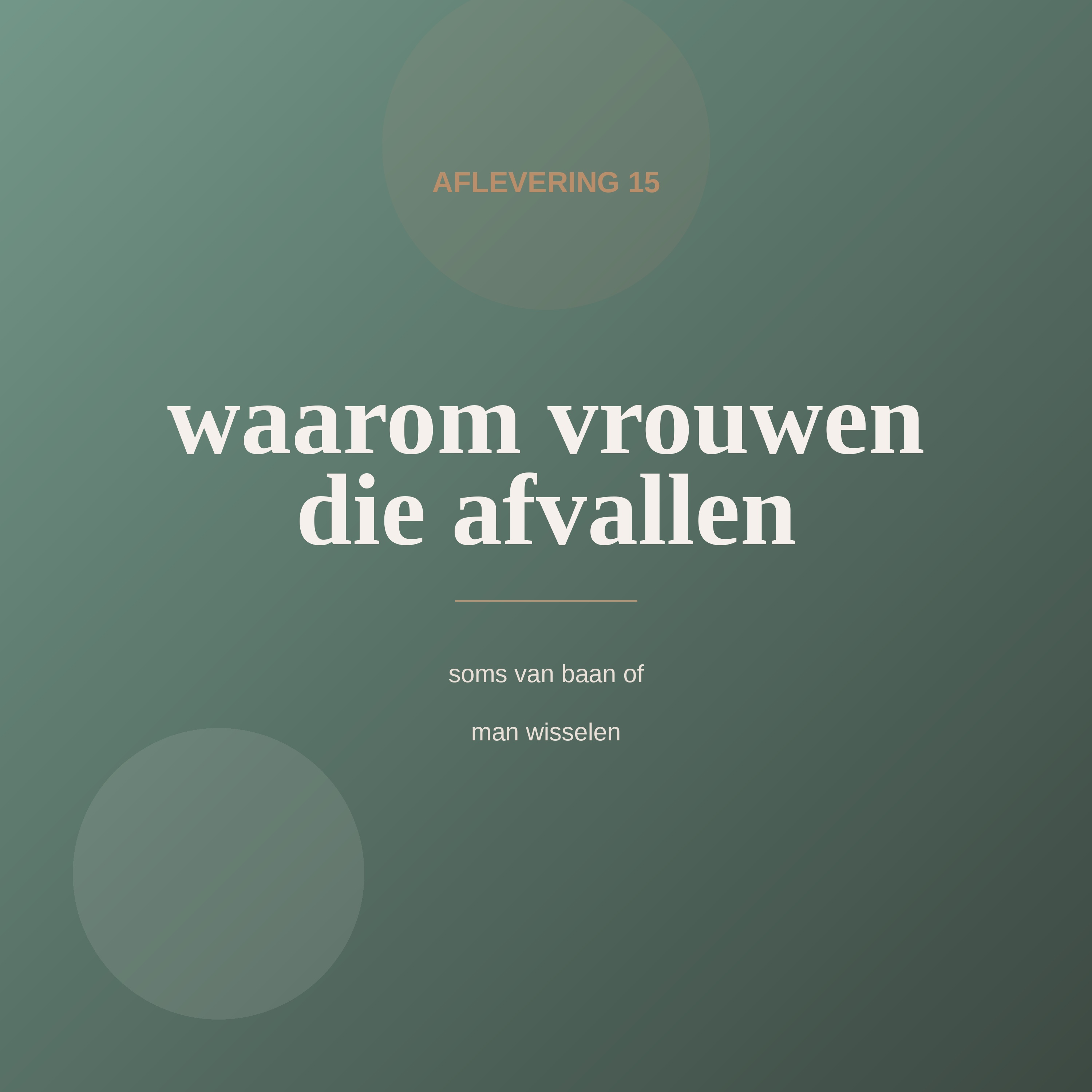Aflevering 15