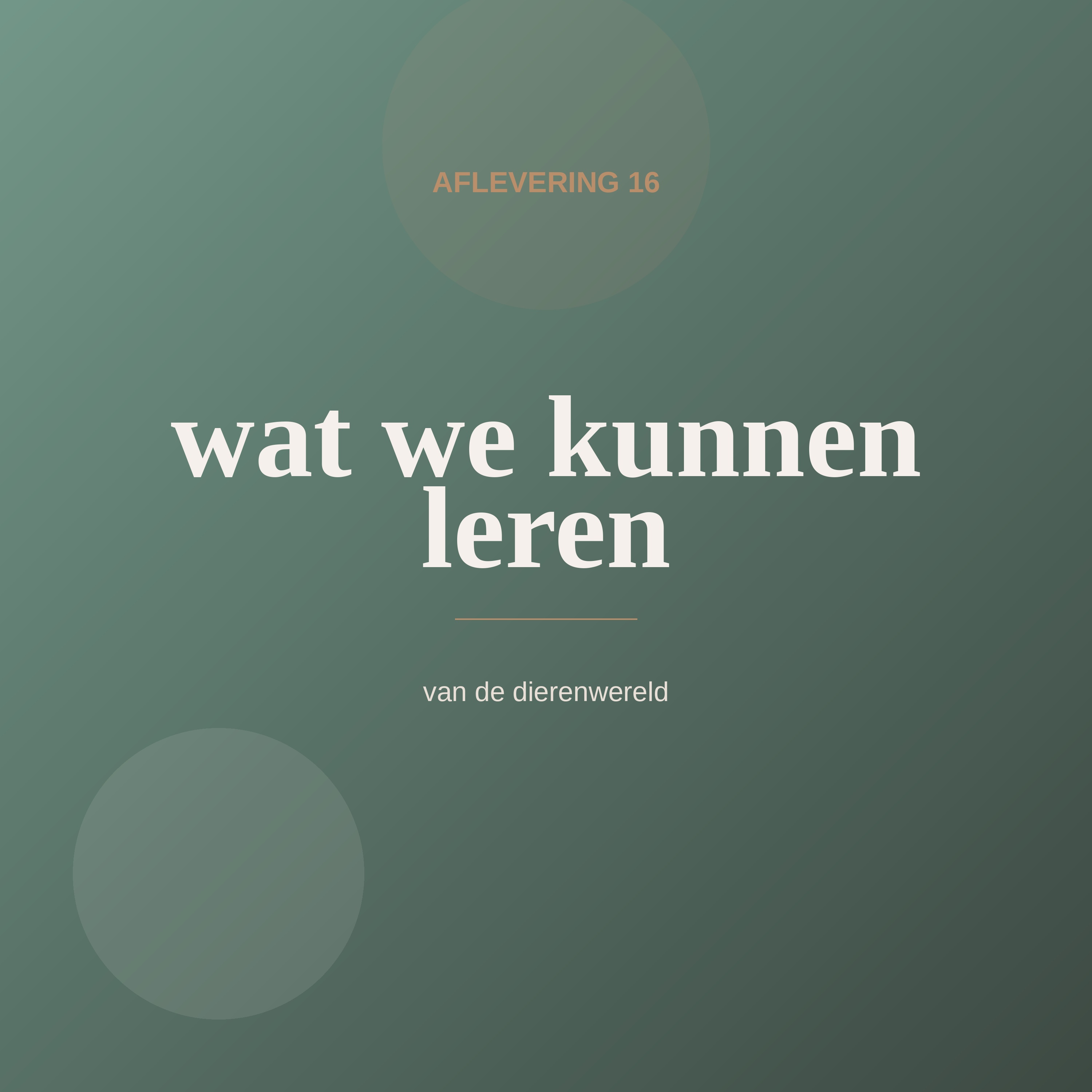 Aflevering 16