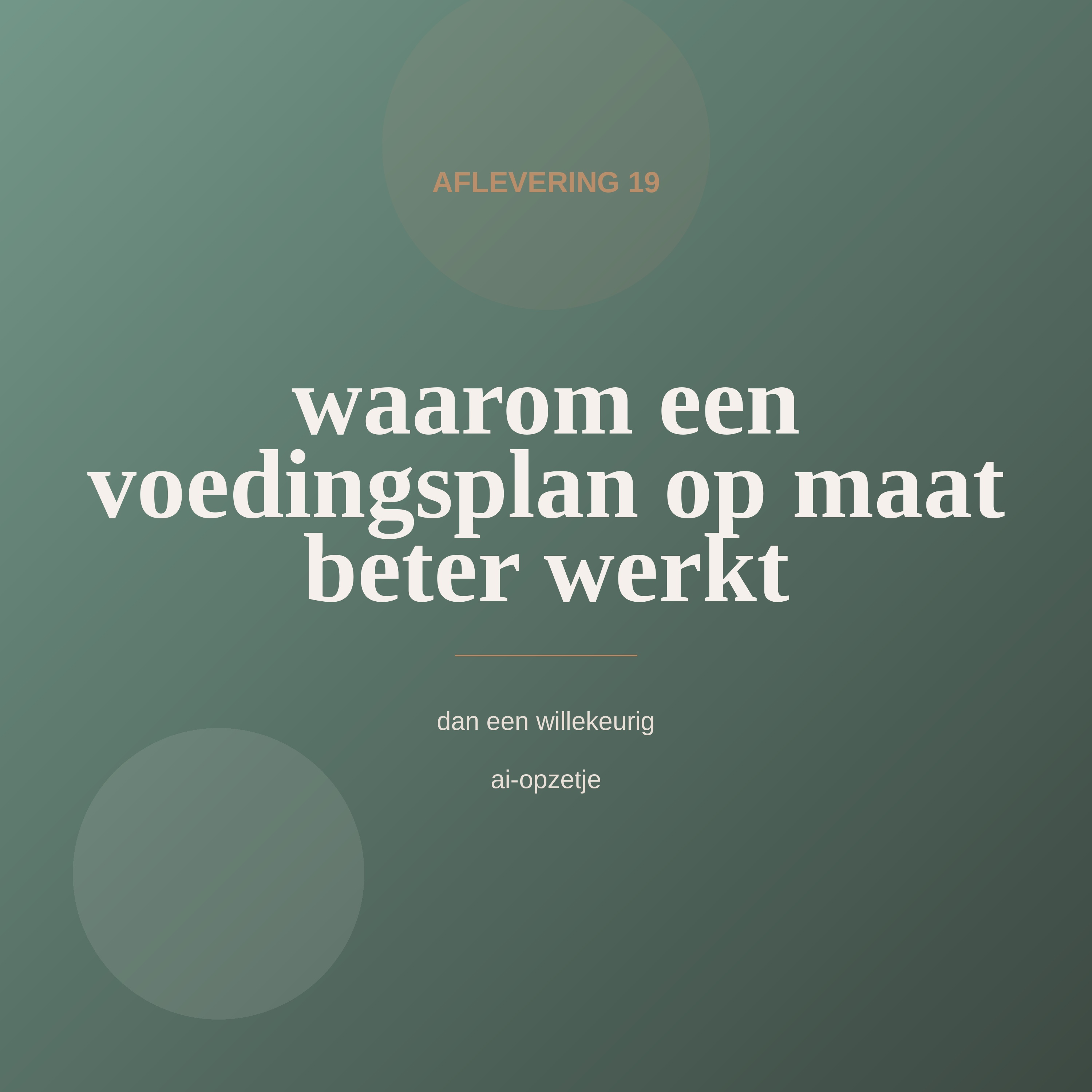 Aflevering 19