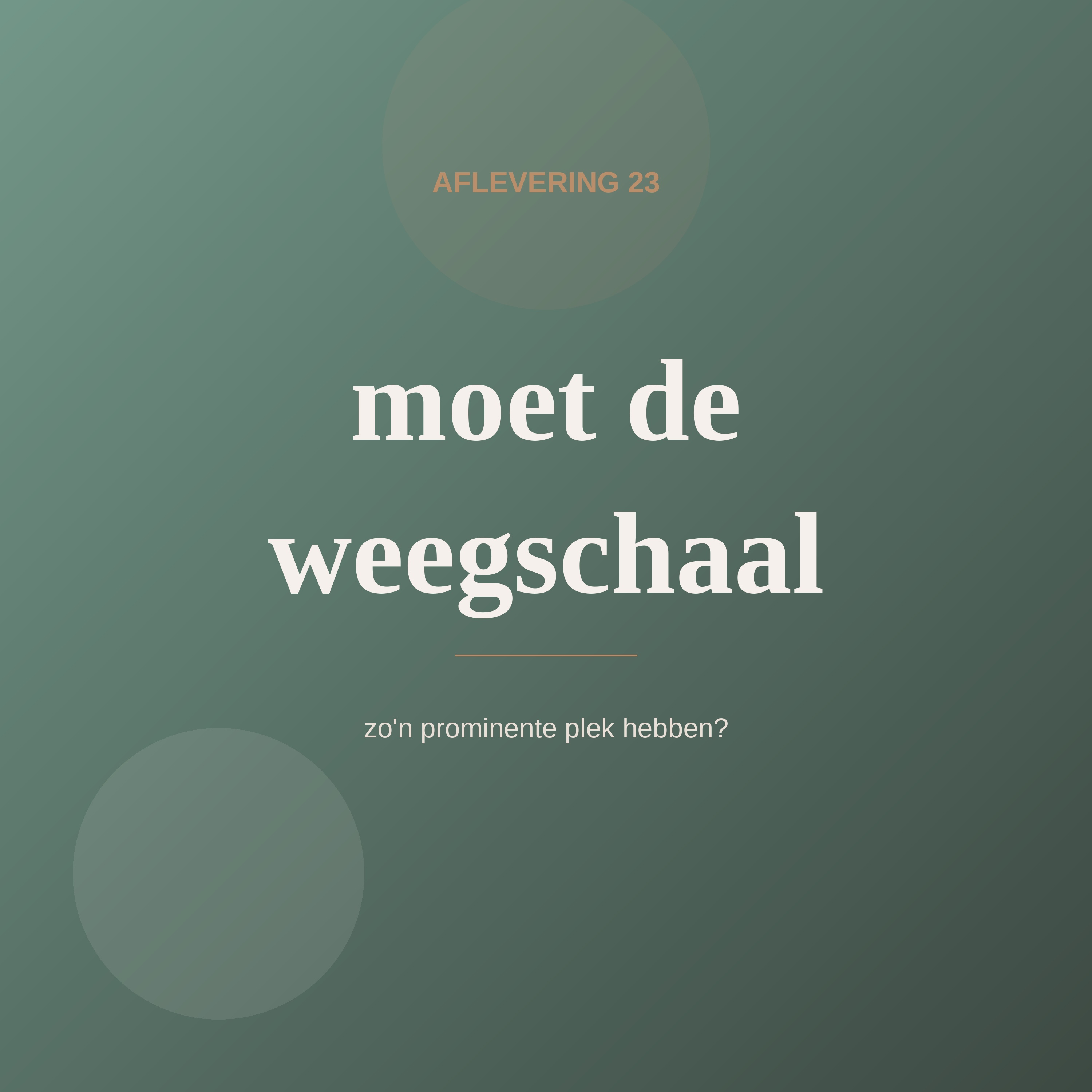 Aflevering 23